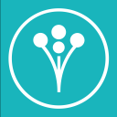 WeddingWire
