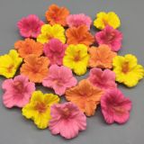 flori-de-hibiscus-160x160