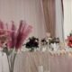 intrebari pentru furnizorul de catering
